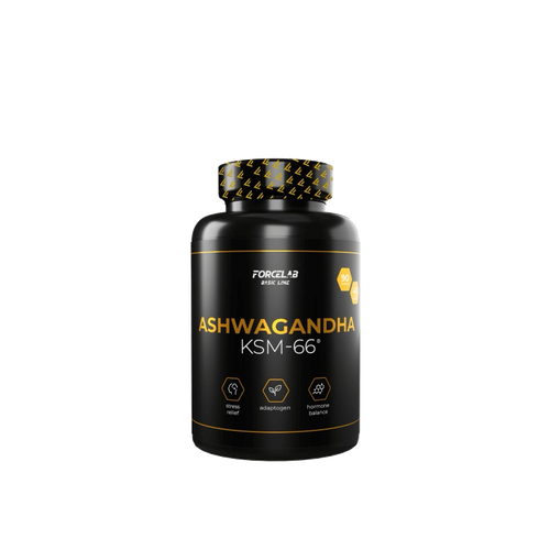 Ashwagandha KSM-66 – extract din rădăcină de ashwagandha (90 de capsule, 300 mg)